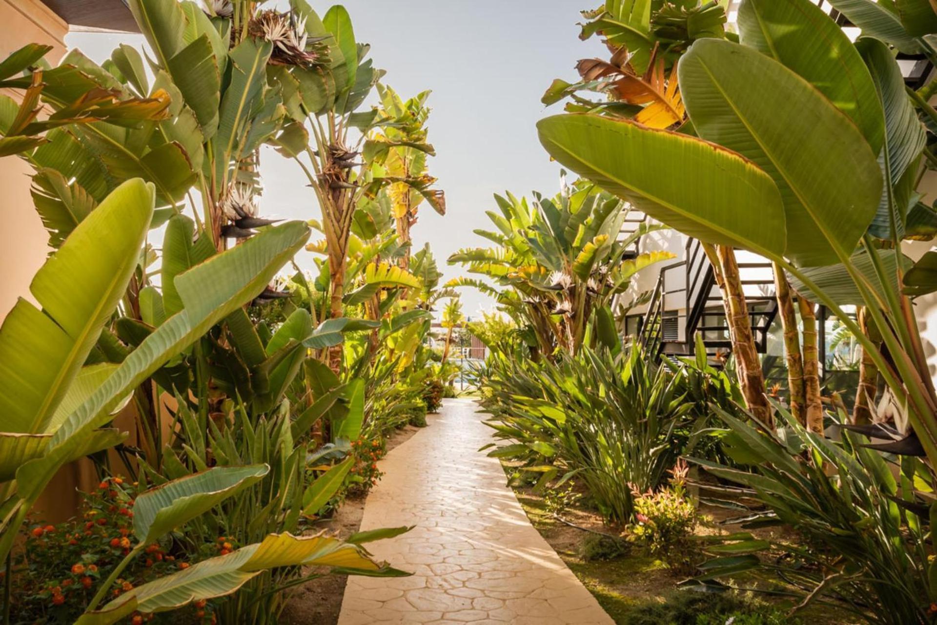 Alegria Palacio Mojacar - Adults Only ภายนอก รูปภาพ